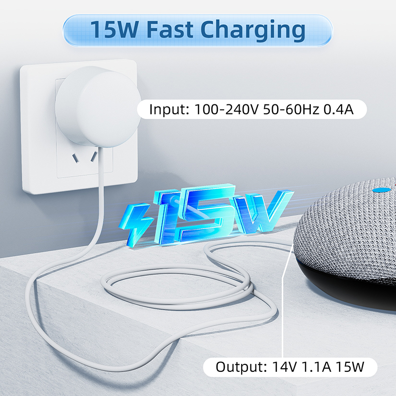 Pengisi Daya OEM 15W untuk Goo - Google Speaker Nest Mini ulasan dan harga