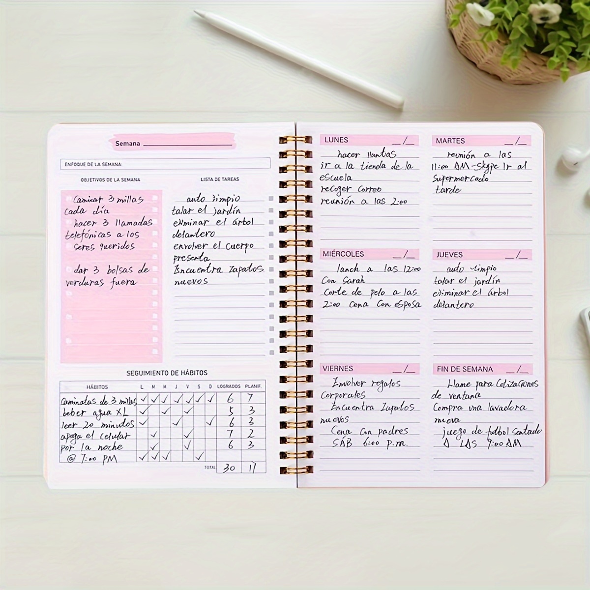 Buku Kartu Perencana Mingguan  - Planned Parenthood ulasan dan harga